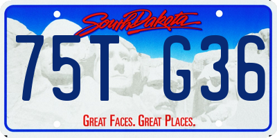 SD license plate 75TG36
