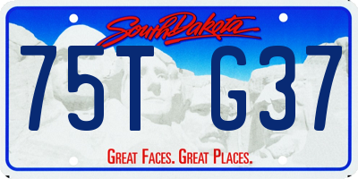 SD license plate 75TG37