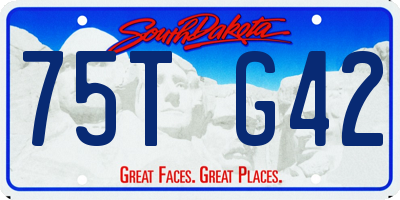 SD license plate 75TG42