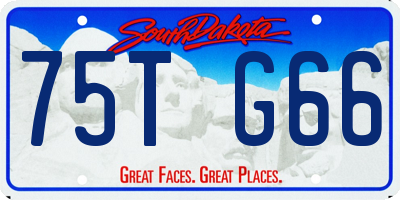 SD license plate 75TG66