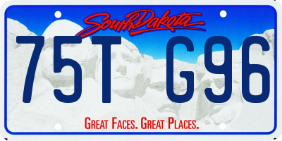 SD license plate 75TG96