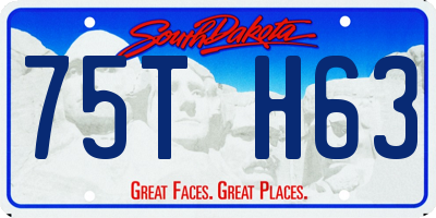 SD license plate 75TH63