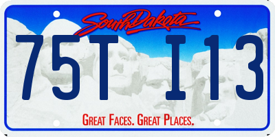 SD license plate 75TI13