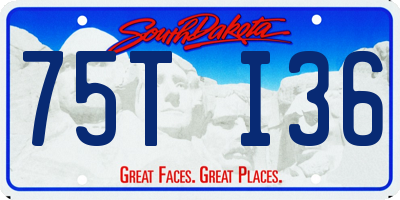 SD license plate 75TI36