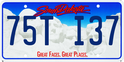 SD license plate 75TI37