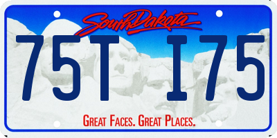 SD license plate 75TI75