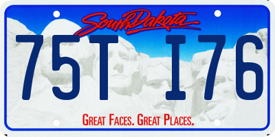 SD license plate 75TI76