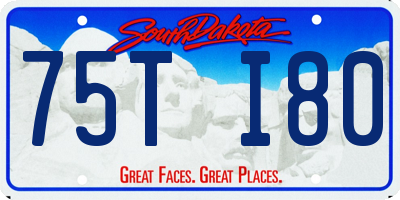 SD license plate 75TI80