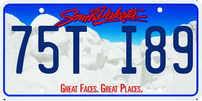 SD license plate 75TI89