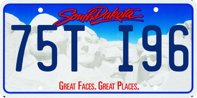 SD license plate 75TI96