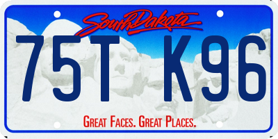 SD license plate 75TK96