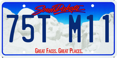 SD license plate 75TM11