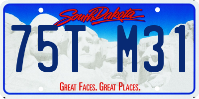 SD license plate 75TM31