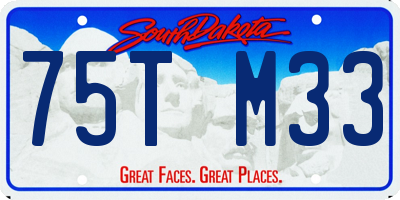 SD license plate 75TM33