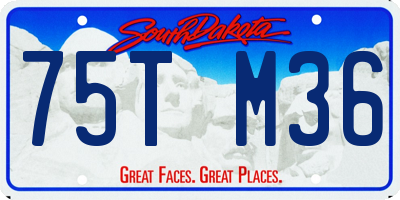 SD license plate 75TM36