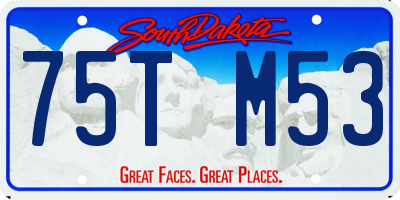 SD license plate 75TM53