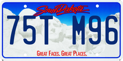 SD license plate 75TM96