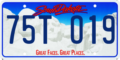 SD license plate 75TO19