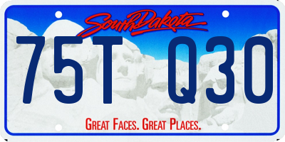 SD license plate 75TQ30