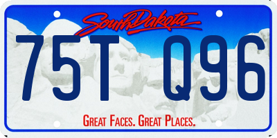 SD license plate 75TQ96