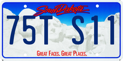 SD license plate 75TS11