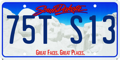 SD license plate 75TS13