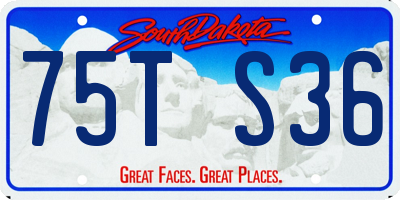 SD license plate 75TS36