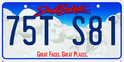 SD license plate 75TS81