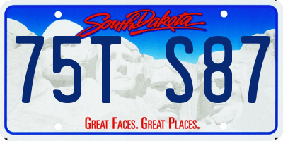 SD license plate 75TS87