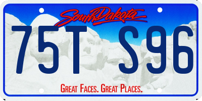 SD license plate 75TS96
