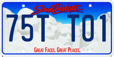 SD license plate 75TT01