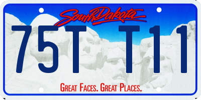 SD license plate 75TT11