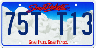SD license plate 75TT13