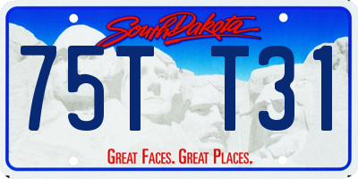 SD license plate 75TT31