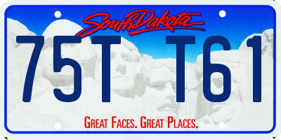 SD license plate 75TT61
