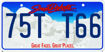 SD license plate 75TT66