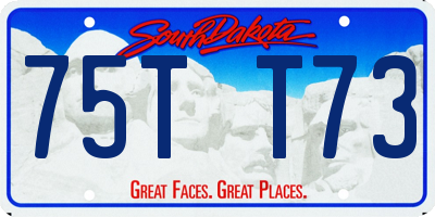 SD license plate 75TT73