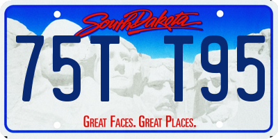 SD license plate 75TT95