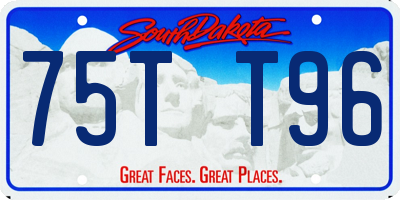 SD license plate 75TT96