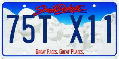 SD license plate 75TX11
