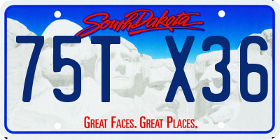 SD license plate 75TX36