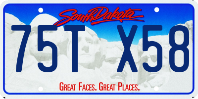 SD license plate 75TX58