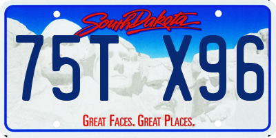 SD license plate 75TX96