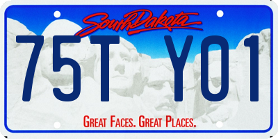 SD license plate 75TY01