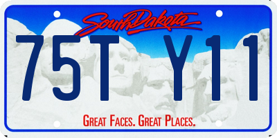 SD license plate 75TY11
