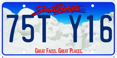 SD license plate 75TY16