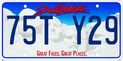 SD license plate 75TY29