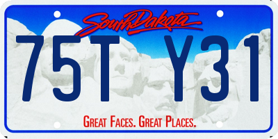 SD license plate 75TY31