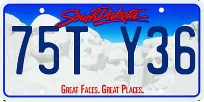 SD license plate 75TY36