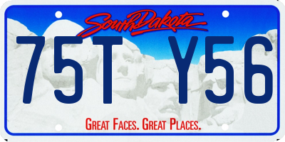 SD license plate 75TY56